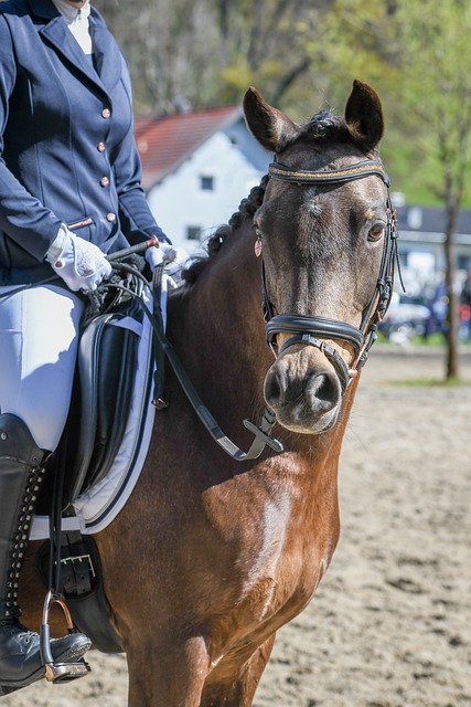 李昊：上一场输球有客观因素；杨希天天炫耀全运会金牌