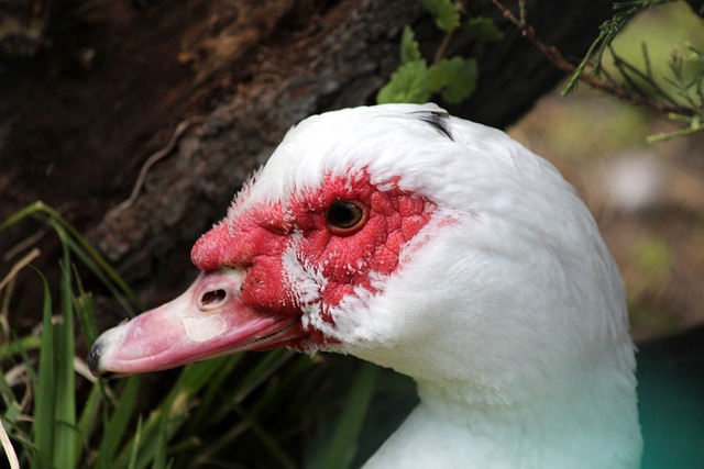 凯恩回应与巴萨传闻：我没和任何人接触，现在在拜仁很开心